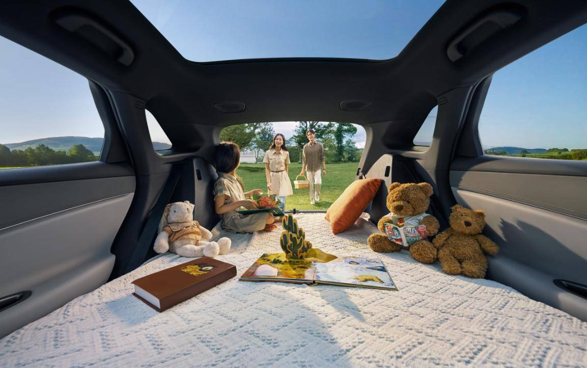 超100項全系配置,入門即豪華,比亞迪海獅06雙車上市