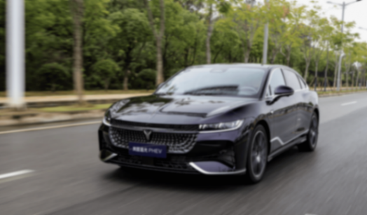 嵐圖兩款旗艦新車諜照,華為智駕,一個比一個尊?