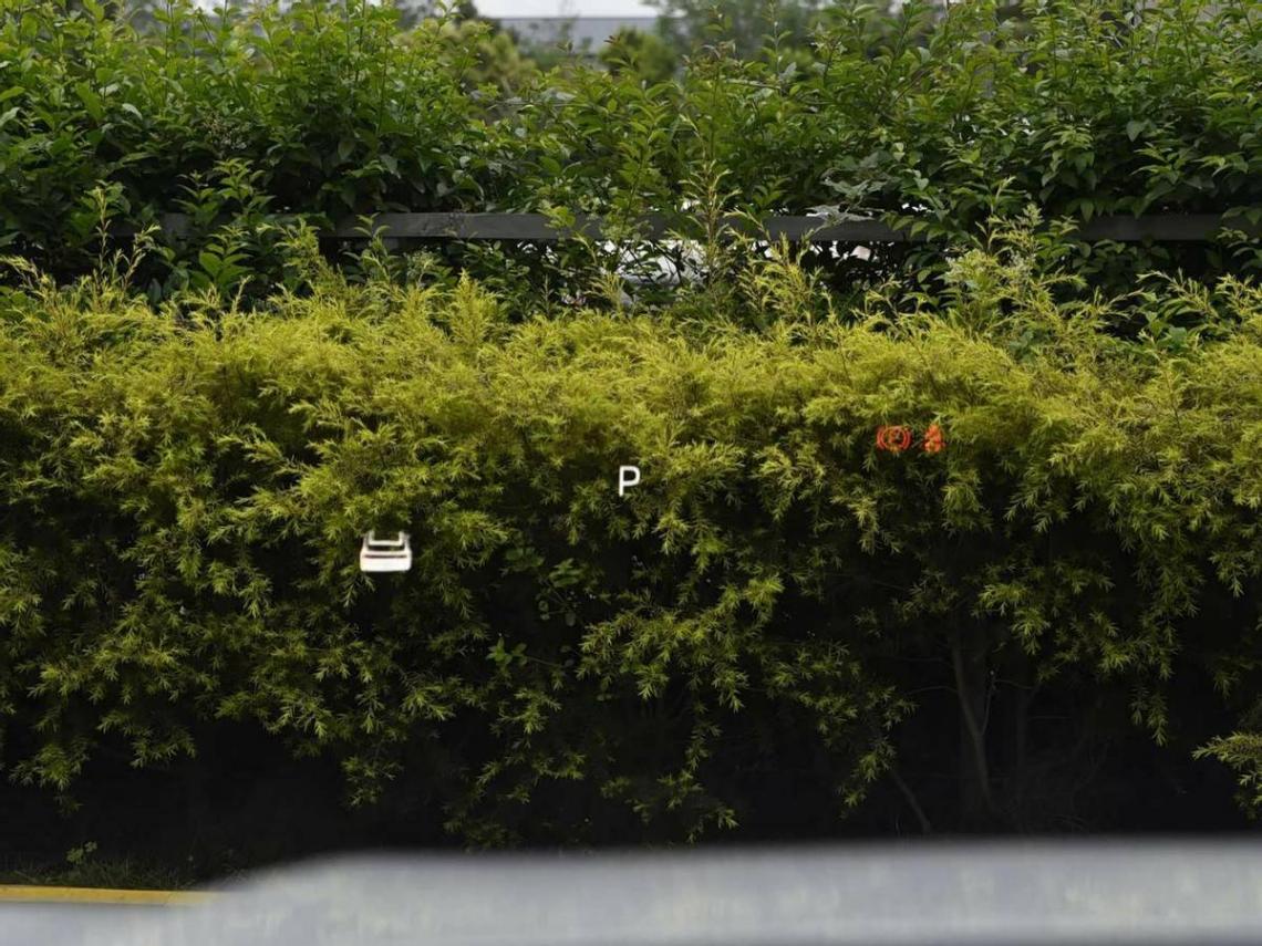 新秀挑戰(zhàn)老將,長(zhǎng)安啟源Q07對(duì)比宋PLUS DM-i,買(mǎi)新買(mǎi)舊?