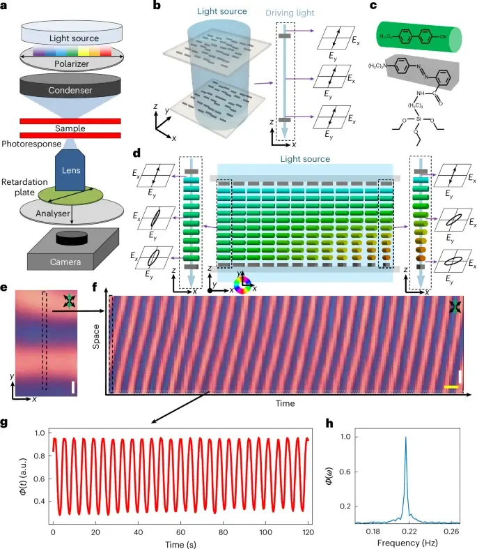 科學(xué)家打造出全球首個(gè)肉眼可見“時(shí)間晶體”