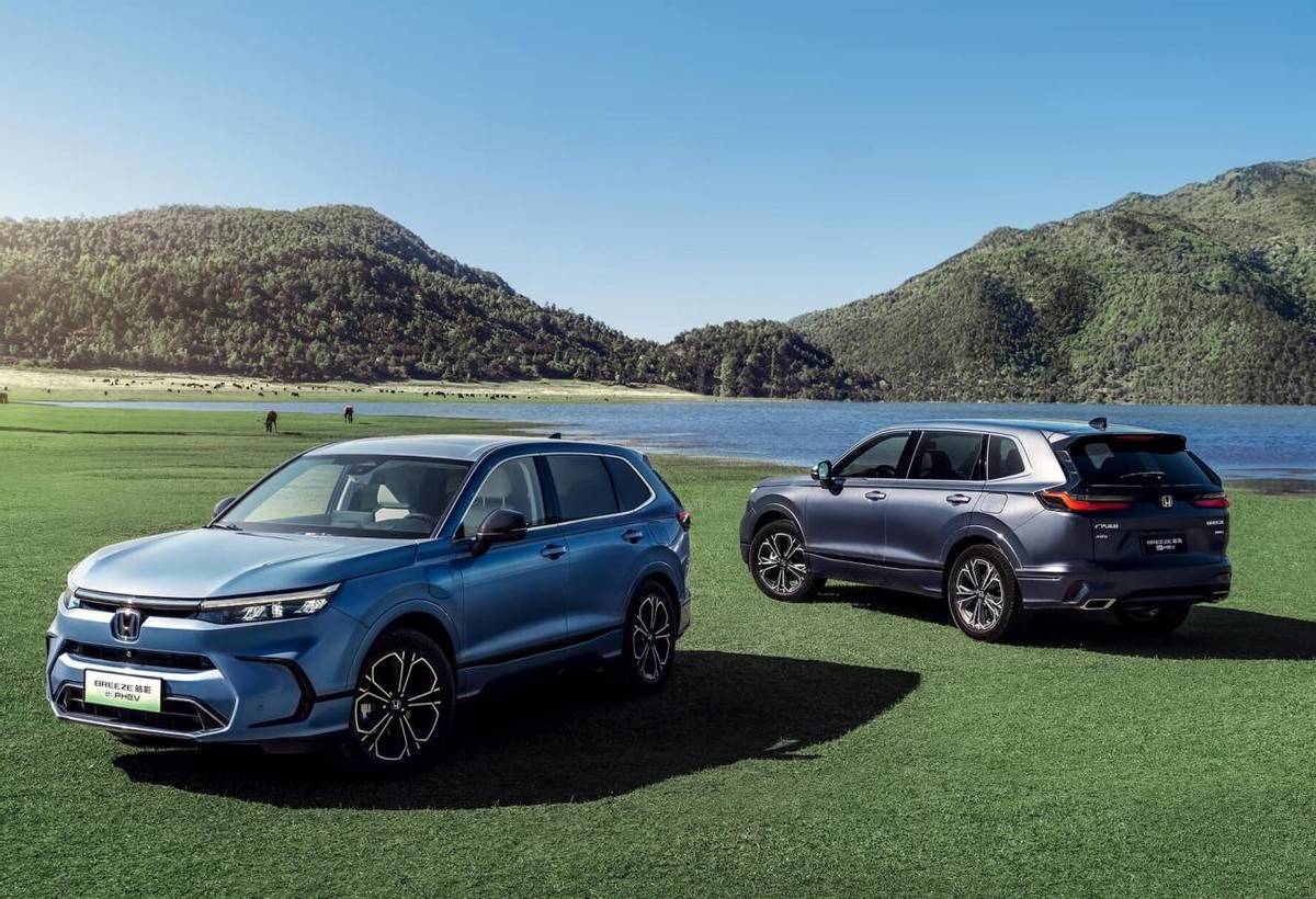 不必羨慕\"別人家的孩子\"!皓影用全能實(shí)力證明什么是\"六邊形戰(zhàn)士\"