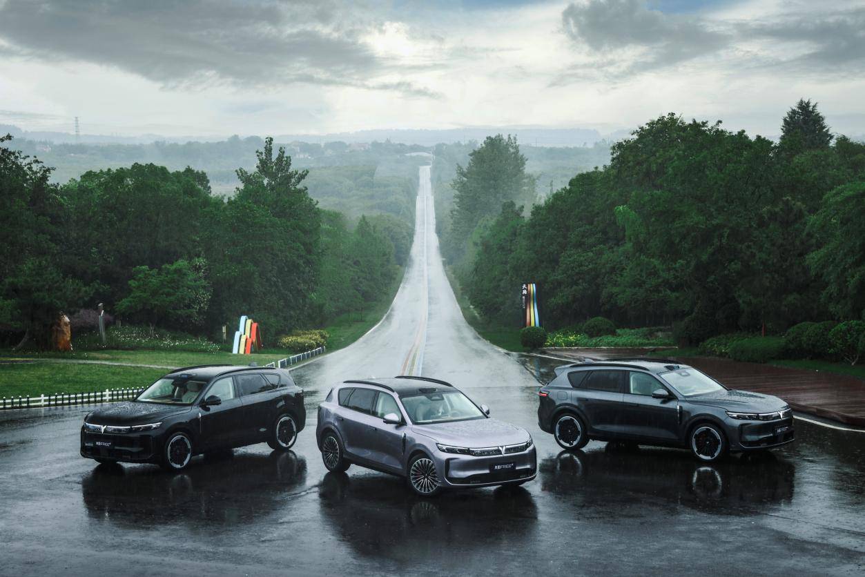 手握25萬預算,為什么這么多人選擇了嵐圖FREE+!