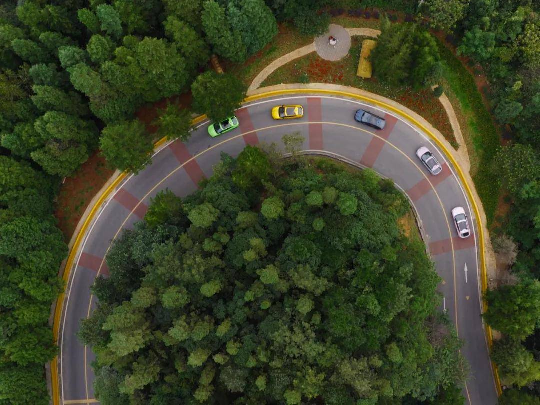 色彩與操控的雙重奏:深度體驗與眾06的“金標”內涵