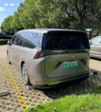 至境世家實車曝光!真龍插混+激光雷達,網(wǎng)友:就看價格了