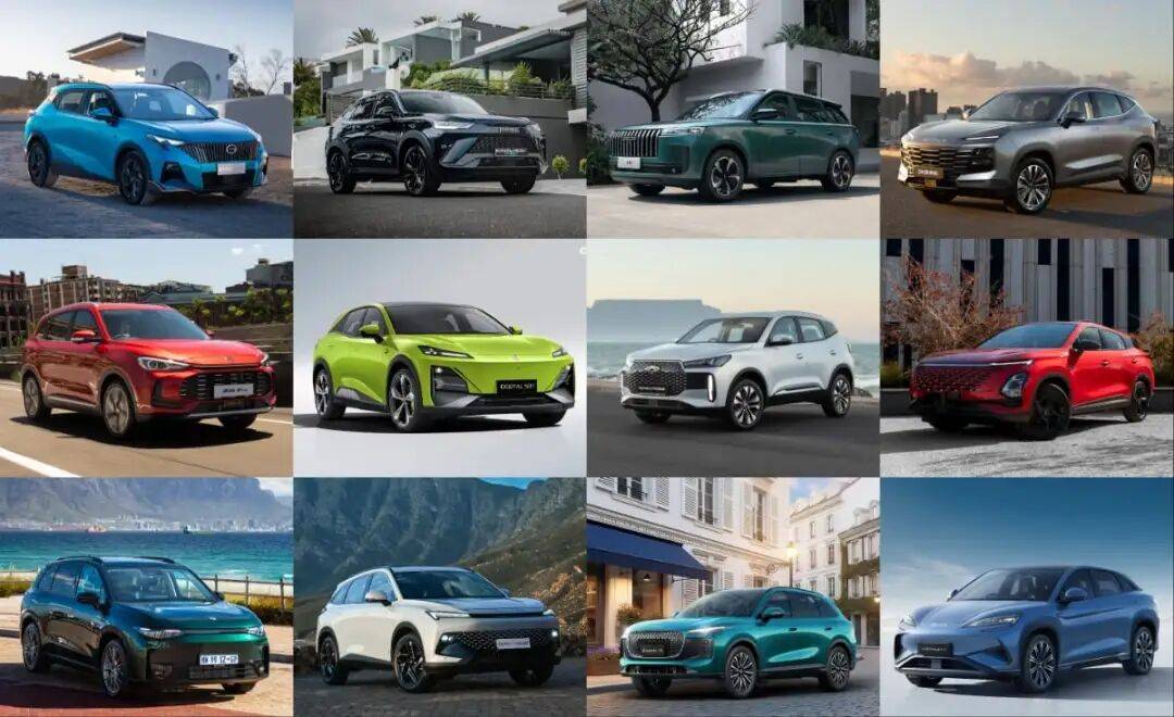 中國汽車搶灘南非,全是智慧