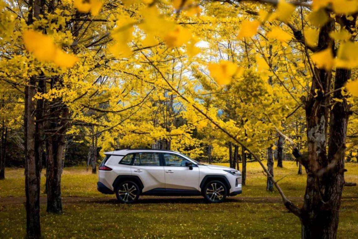 豐田史上最好油車(chē)!全新?lián)Q代威蘭達(dá),給你一個(gè)不買(mǎi)電車(chē)的理由